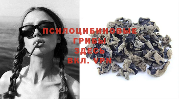 индика Кодинск