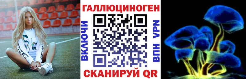Галлюциногенные грибы Cubensis  Купить  Барабинск 